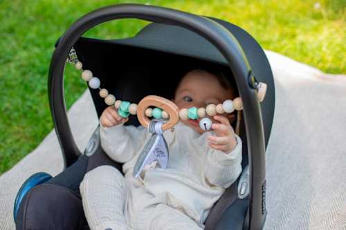 Wagenkette Babypure Eichhorn