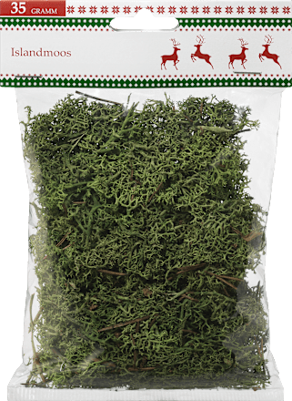 Islandmoos Dekorieren & Einrichten