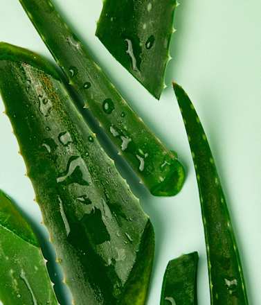 Naturally Good Deodorant Zerstäuber Bio Aloe Vera NIVEA