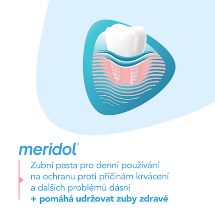 zubní pasta regenerace dásní meridol