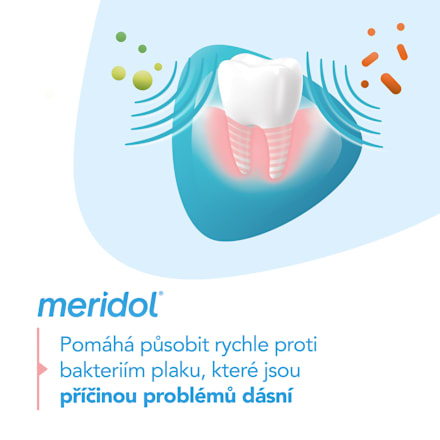 zubní pasta regenerace dásní meridol