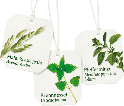 Kräutertee Basisch mit Zink (8 Beutel) Bad Heilbrunner