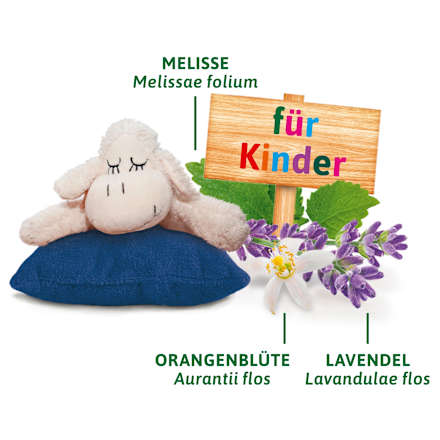 Kindertee, Gute Nacht Tee (8 Beutel) Bad Heilbrunner