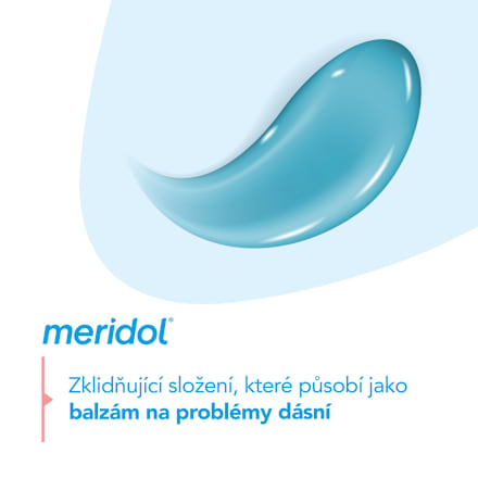 zubní pasta regenerace dásní meridol