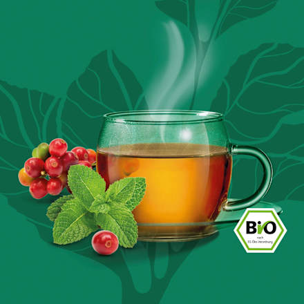 Kräutertee Cascara + Minze (15 Beutel) Bad Heilbrunner