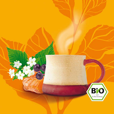 Kräutertee Kurkuma & Holunder (15 Beutel) Bad Heilbrunner