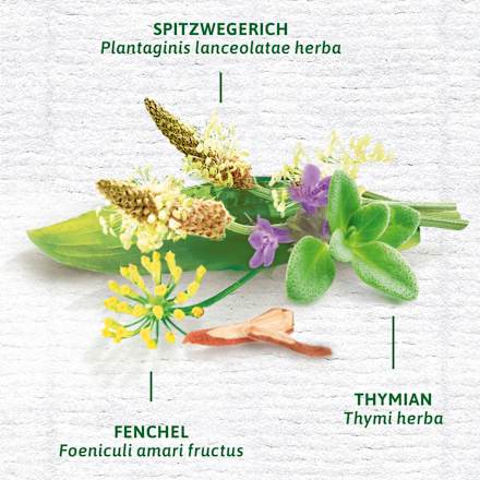 Arzneitee, Husten- & Bronchial Tee (12 Beutel) Bad Heilbrunner
