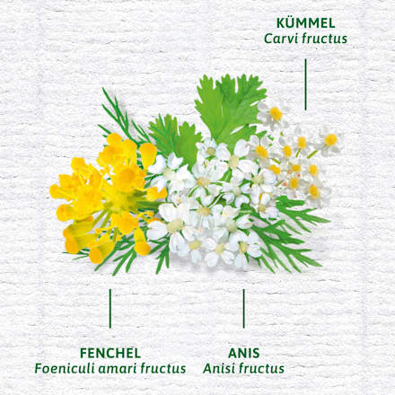 Arzneitee, Bio Magen- & Darm Tee (12 Beutel) Bad Heilbrunner