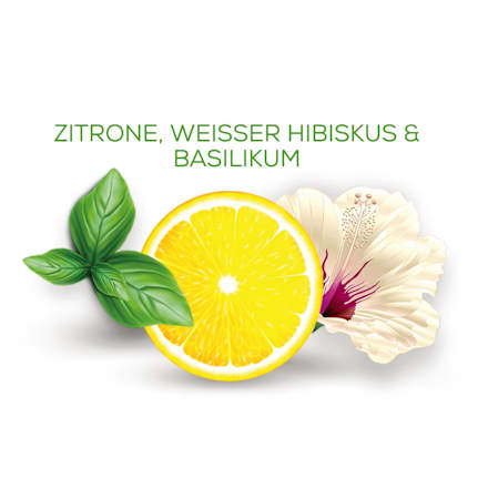 Früchtetee "taste my Italy" mit Zitrone, weißer Hibiskus, Basilikum (17 Beutel) Teaya