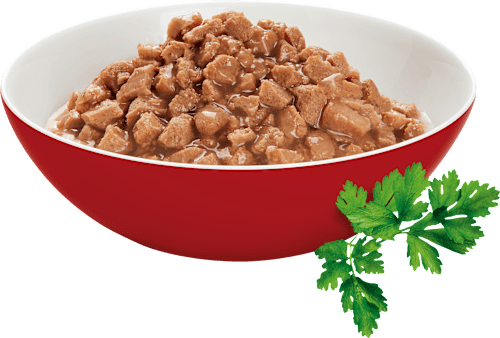 Nassfutter Katze, Variationen in Soße, Poésie Classique, Multipack (12x85 g) Vitakraft