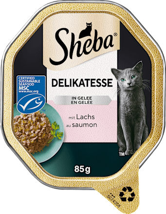 Delikatesse in Gelee mit Lachs Sheba