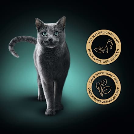 Nassfutter Katze Huhn Filets mit nachhaltigem Thunfisch Sheba