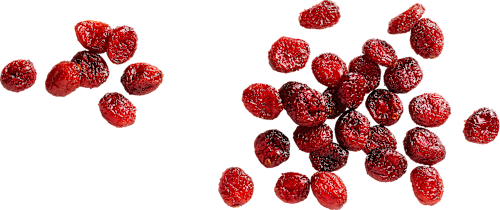 Mehke suhe brusnice Seeberger