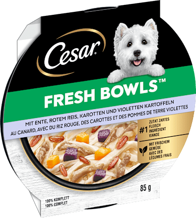 Nassfutter Hund mit Ente, Reis & Karotten, fresh bowls Cesar