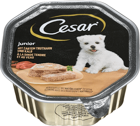 Mokra hrana za pasje mladiče, s puranom in teletino Cesar