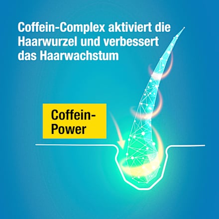 Shampoo Hybrid Coffein Alpecin
