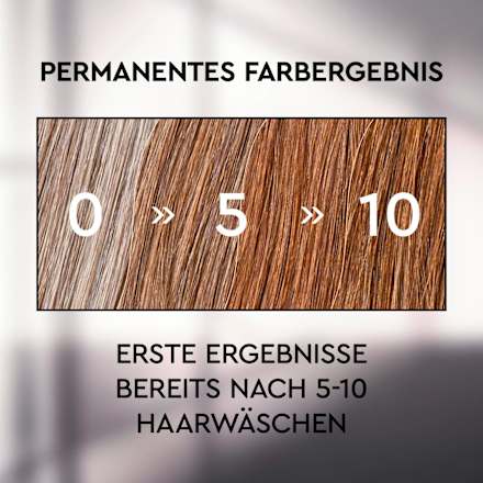 Shampoo Anti-Grau Effekt Warme Töne Plantur 39