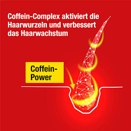 Haarwasser Coffein Liquid Alpecin
