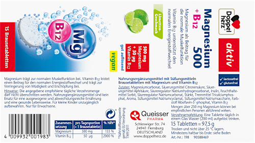 Magnesium 500 + B12 Brausetabletten 15 St  Doppelherz