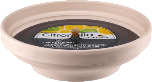 Citronella in Terracottaschale, creme keine Marke