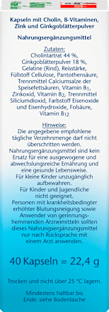 Ginkgo + B-Vitamine + Cholin Kapseln 40 St Doppelherz