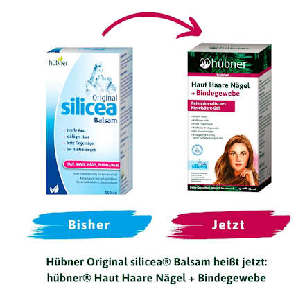 Haut Haare Nägel + Bindegewebe hübner