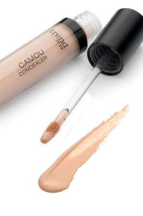 Concealer Camou 010 trend !t up