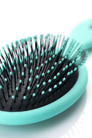 Leichtkämmbürste ebelin