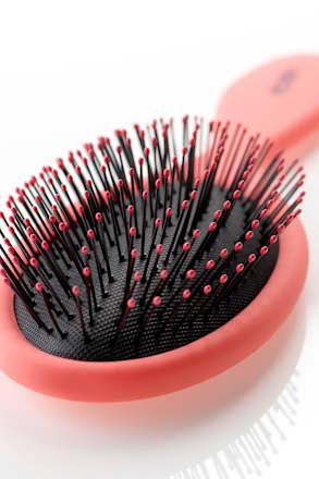 Leichtkämmbürste ebelin