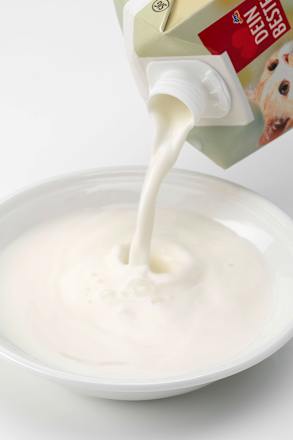 Lapte pentru pisici Dein Bestes