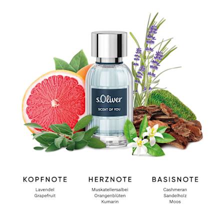 Eau de Parfum Scent of You Men s.Oliver