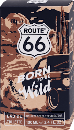 pánská EdT Born to be wild Route 66