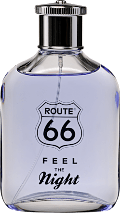 pánská EdT Feel the Night Route 66