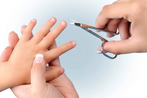 Nagelschere "Solingen" für Babys Reer