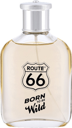 Born to be wild EDT męski Route 66