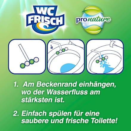 WC-Stein Kraft Aktiv Pro Nature Minze & Eukalyptus WC-Frisch