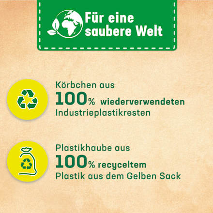 WC-Stein Kraft Aktiv Pro Nature Minze & Eukalyptus WC-Frisch