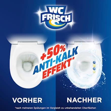 WC-Stein Kraft Aktiv Blütenfrische  WC-Frisch