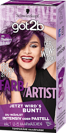 Tönung Farb/Artist Blueberry Lila 094, 1 St got2b