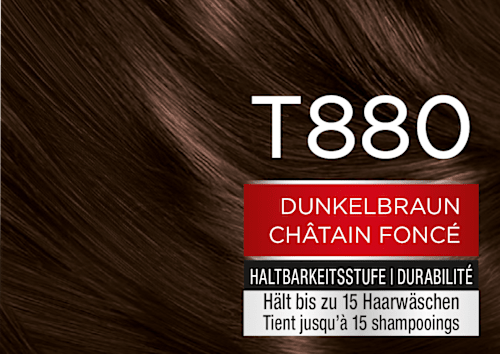 Tönung Dunkelbraun T880 Schwarzkopf Brillance