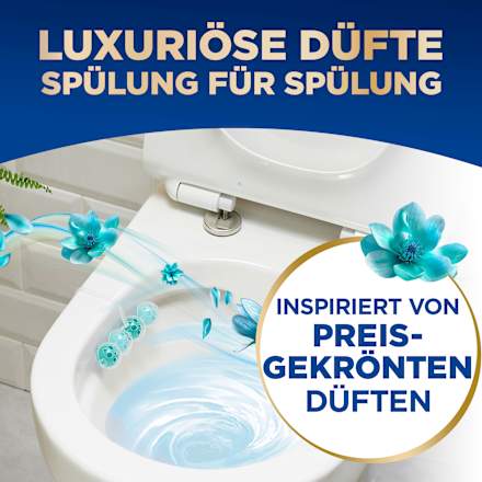 WC-Stein DeLuxe Lovely Jasmin  WC-Frisch