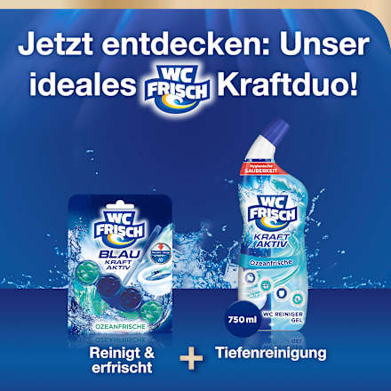 WC-Stein Blau Kraft Aktiv Ozeanfrische WC-Frisch