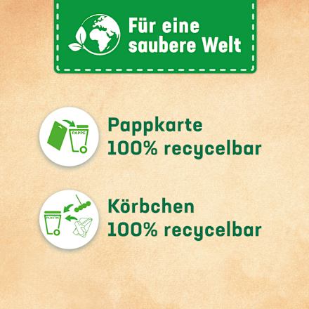 WC-Stein Blau Kraft-Aktiv Ozeanfrische WC-Frisch