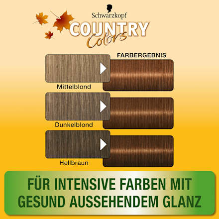 Intensivtönung 49 Cognac Haselnuss Schwarzkopf Country Colors