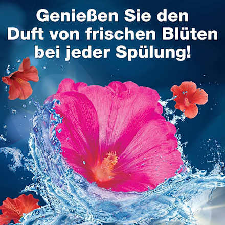 WC-Reiniger Blüten-Frische WC-Frisch