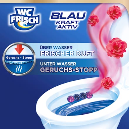 WC-Stein Blau Kraft Aktiv Blütenfrische WC-Frisch