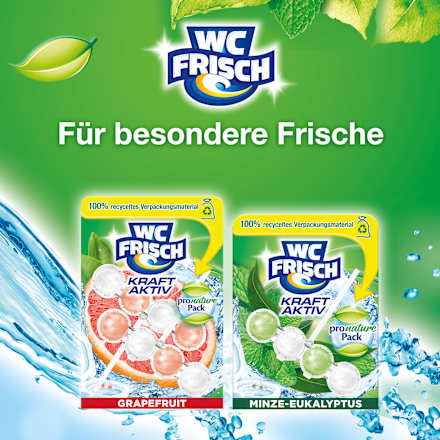 WC-Stein Kraft Aktiv Pro Nature Minze & Eukalyptus WC-Frisch