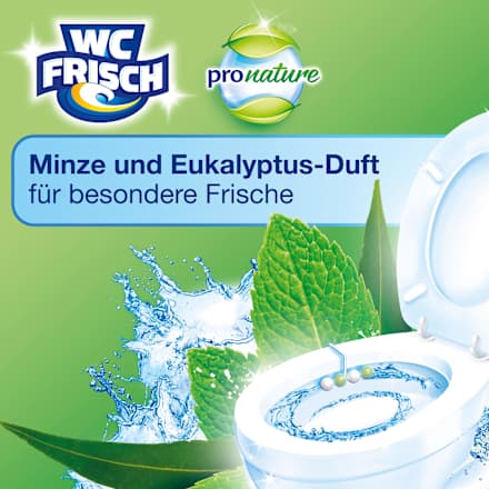 WC-Stein Kraft Aktiv Pro Nature Minze & Eukalyptus WC-Frisch