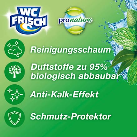WC-Stein Kraft Aktiv Pro Nature Minze & Eukalyptus WC-Frisch