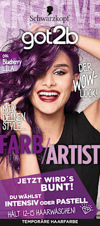 Tönung Farb/Artist Blueberry Lila 094, 1 St got2b